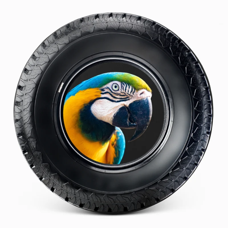 "Parrot" Spare Tire Cover