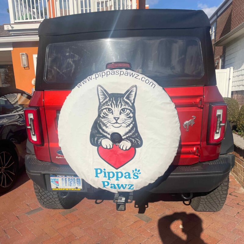 Spare tire cover installed on Car - Clients review