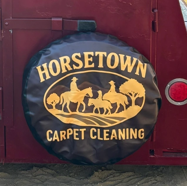 Spare tire cover installed on Car - Clients review
