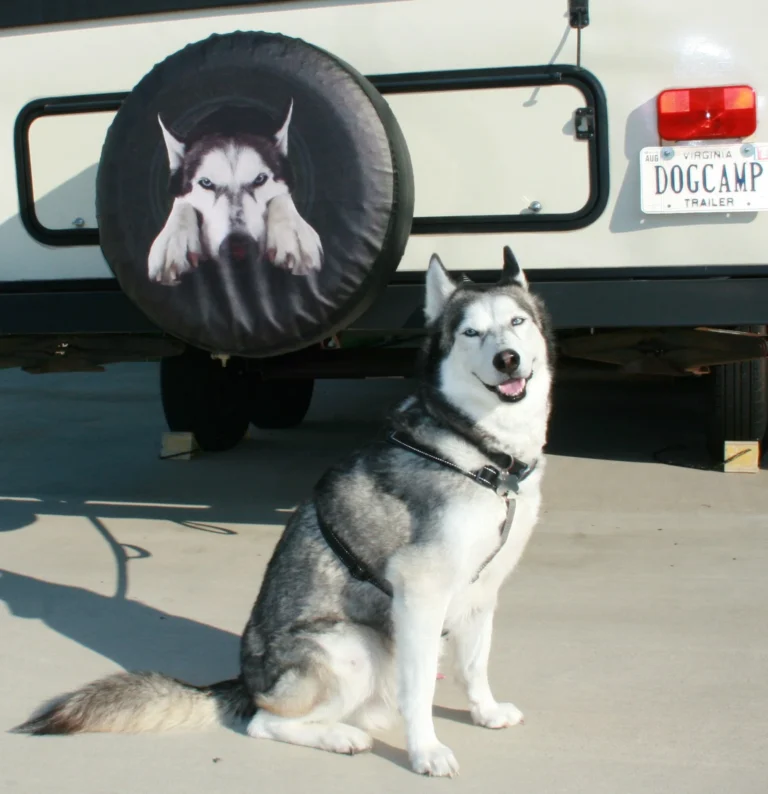 Custom spare tire cover example