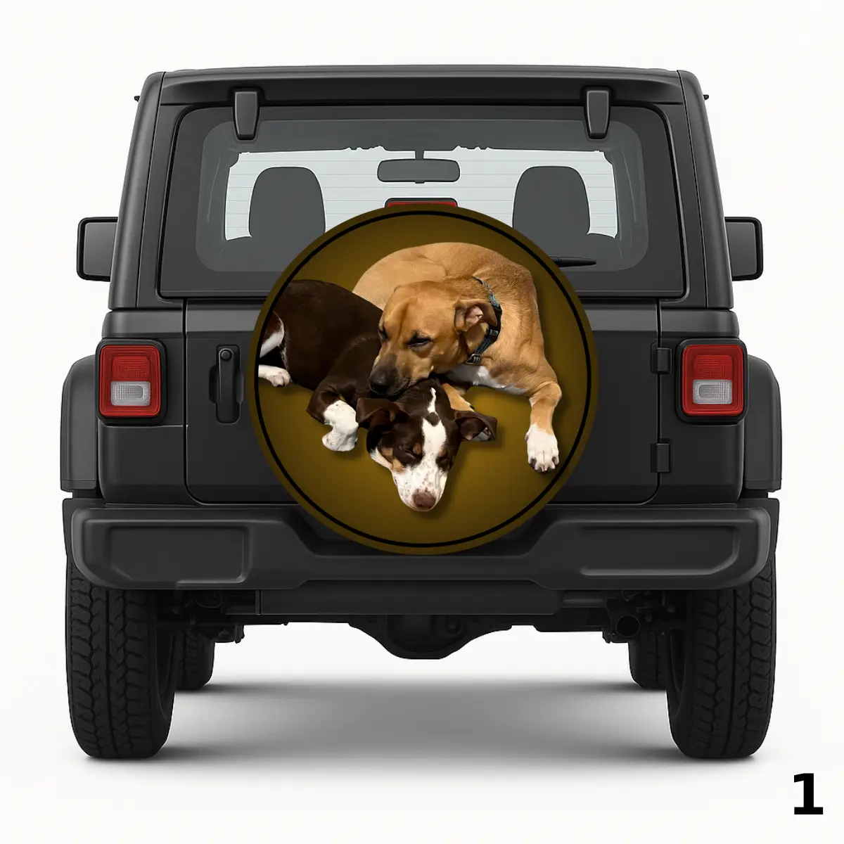 =Safe in Your Paws Capa de Estepe