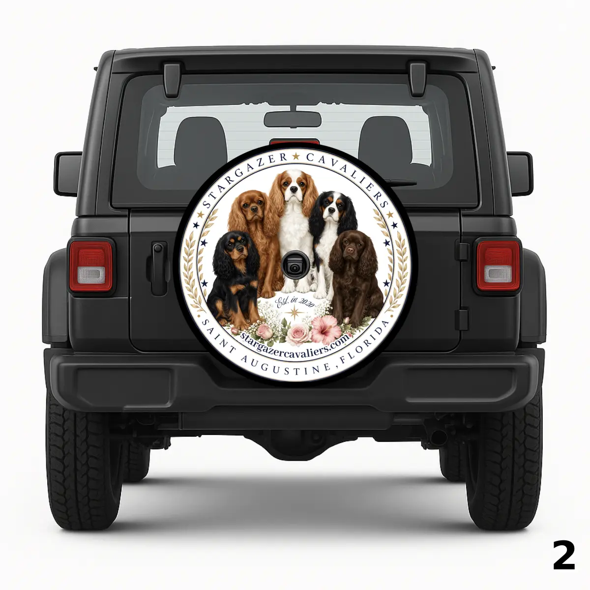 Stargazer Cavaliers Spare Tire Cover