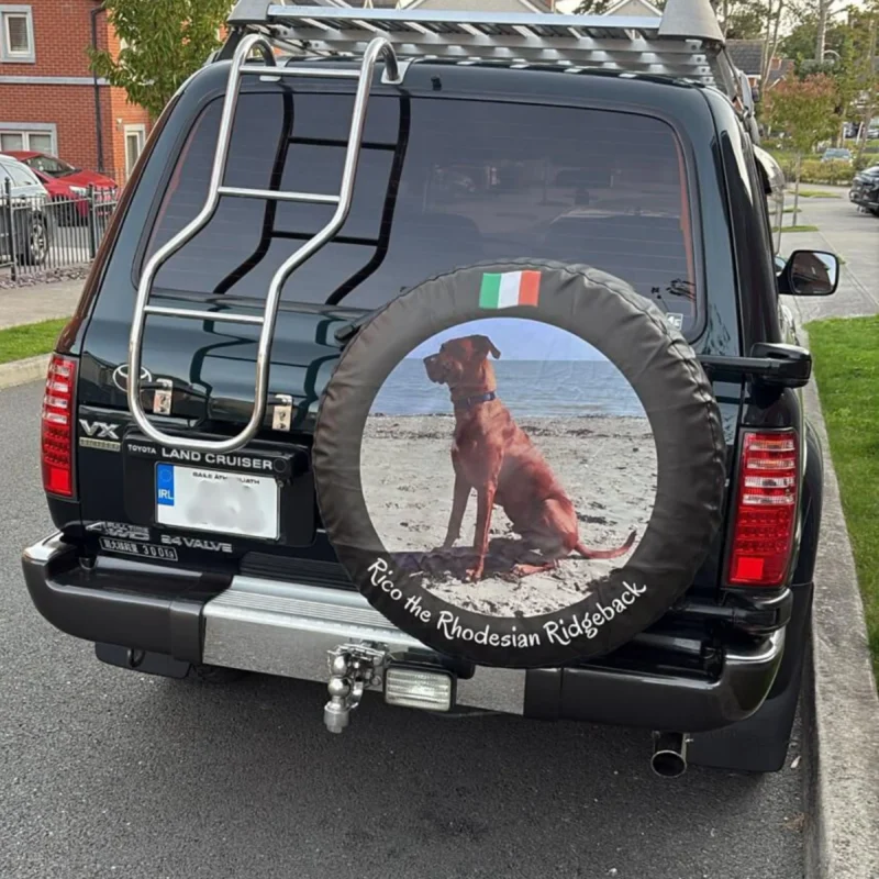 Spare tire cover installed on Car - Clients review