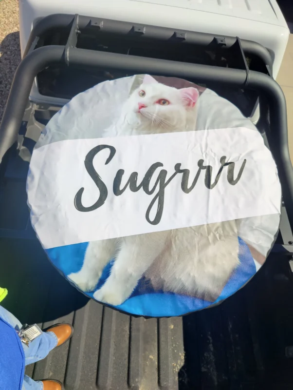 Spare tire cover installed on Car - Clients review