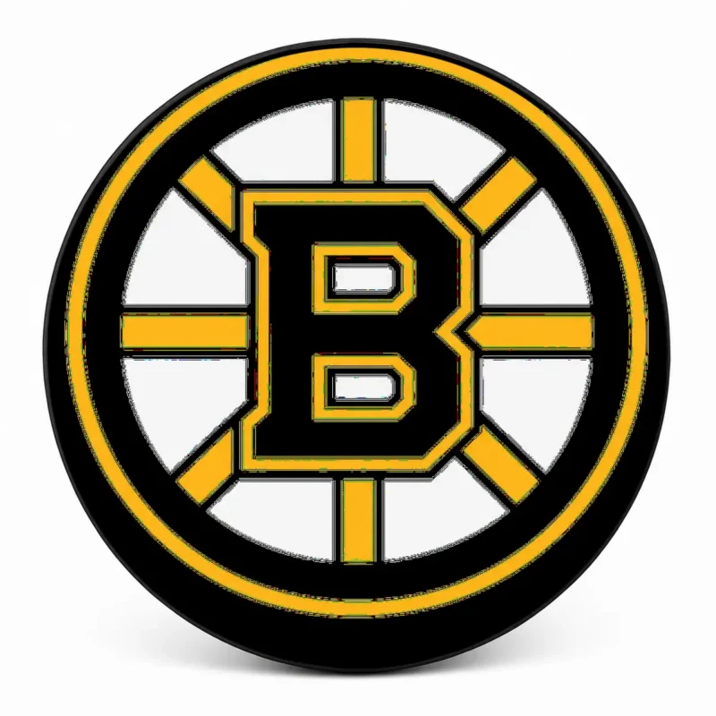 Boston Bruins Spare Tire Cover